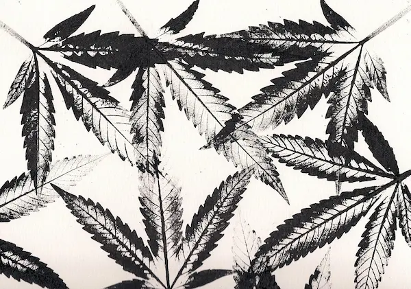 discos para escuchar con cannabis