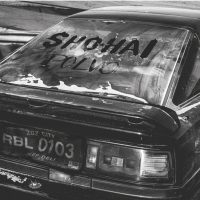 sho-hai-polvo